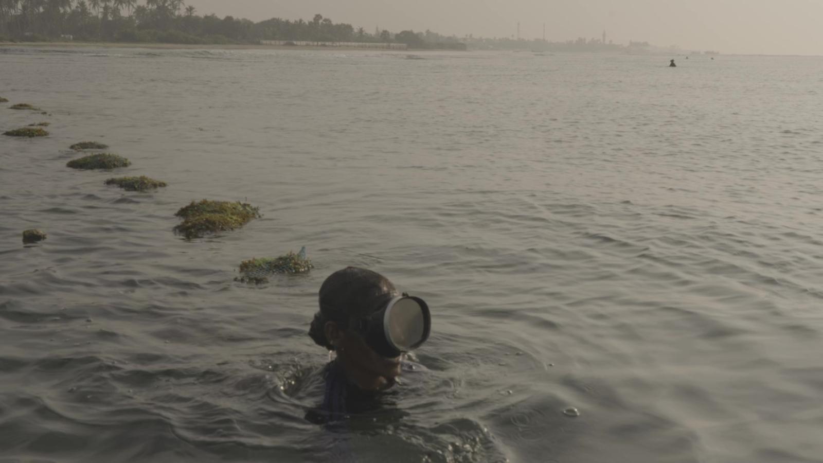 Greeshma Mermaids of Mannar