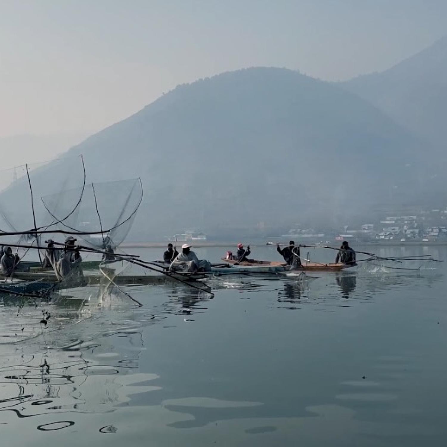 © Muzamil Bhat, SFFA 2024