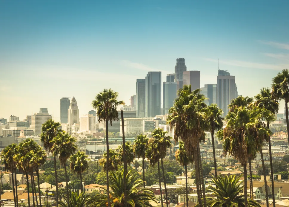 LA Cityscape 3