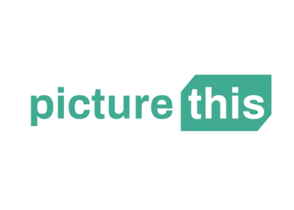 PT